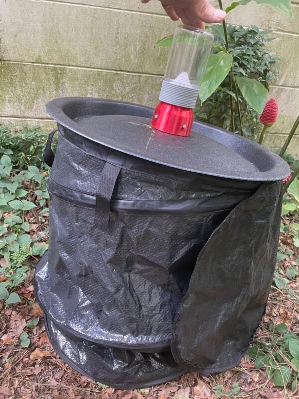 Entovate Resting trap with collection lid and jar
