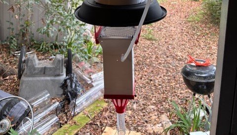 midges-mosquito trap